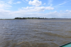 Elbinsel Neßsand