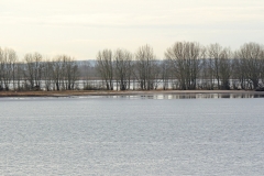 Elbinsel Neßsand