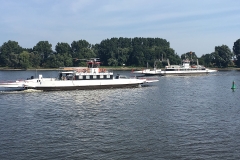 Spieker Möwe und Hoopter Möwe 2